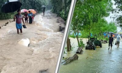 ইন্দো-বাংলা