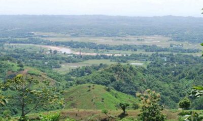 সাপ্তাহিক