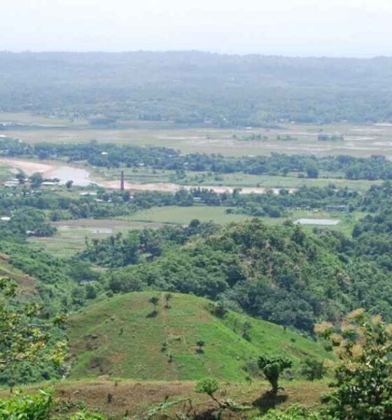 আইসিবি