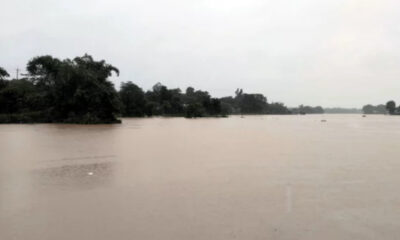 ব্লক