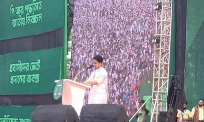 পিই রেশিও
