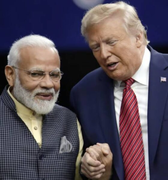 লভ্যাংশ