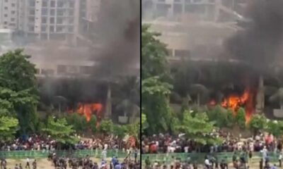 নিটল ইন্স্যুরেন্স