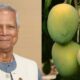 সোশ্যাল ইসলামী