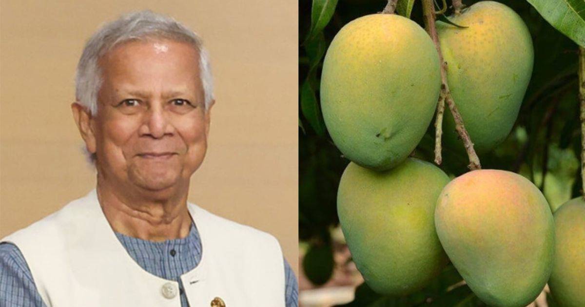 বিদেশি রাষ্ট্রপ্রধানদের আম উপহার পাঠাচ্ছেন প্রধান উপদেষ্টা সোশ্যাল ইসলামী