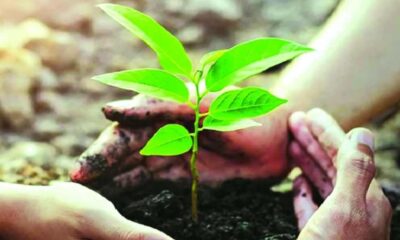 প্রাইম ব্যাংক