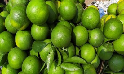 ডিএসই
