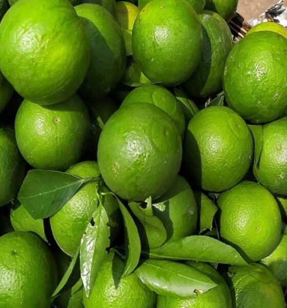 সূচক
