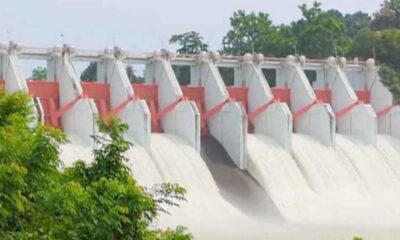 লভ্যাংশ