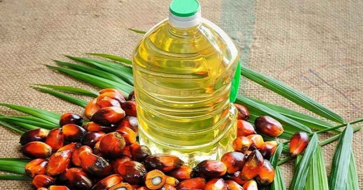 বাসের নিবন্ধন
