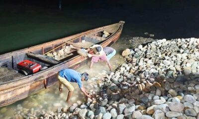 হাক্কানি পাল্প