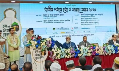 হাক্কানি পাল্প
