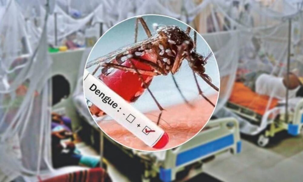 ডেঙ্গু আক্রান্ত হয়ে হাসপাতালে ভর্তি ৪৬৮ প্রিমিয়ার