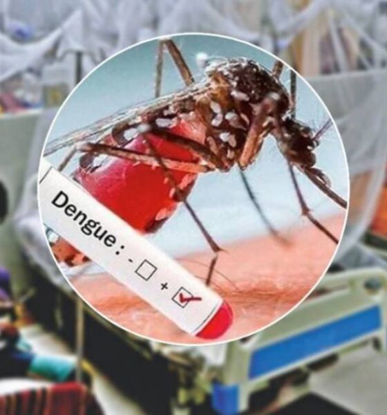 ডেঙ্গু আক্রান্ত হয়ে হাসপাতালে ভর্তি ৪৬৮ প্রিমিয়ার