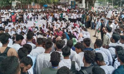 পাইওনিয়ার