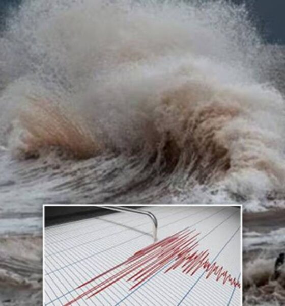 গ্লোবাল হেভি