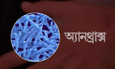 সূচক