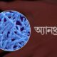 সূচক