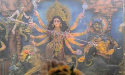 সোশ্যাল বন্ড