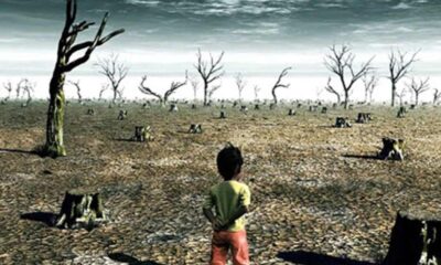 সাপ্তাহিক