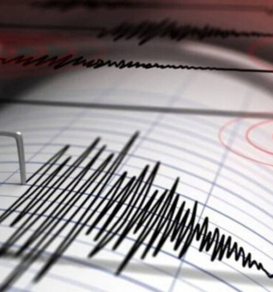 সাপ্তাহিক