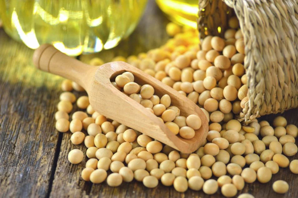 সিমটেক্স