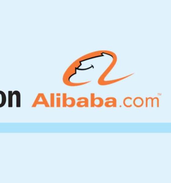 ফরচুন সুজ