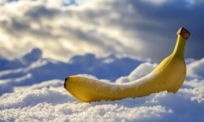 সাপ্তাহিক