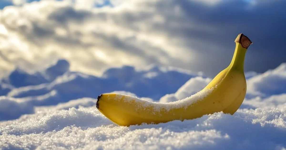 সাপ্তাহিক