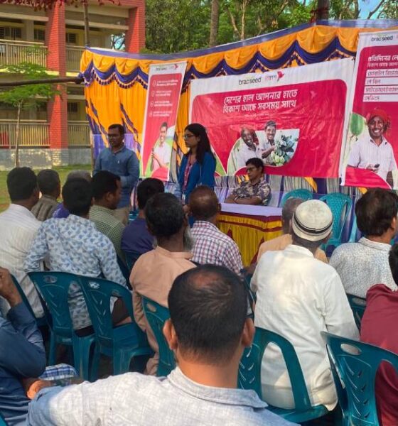 গোল্ডেন সন