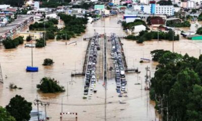 সাপ্তাহিক