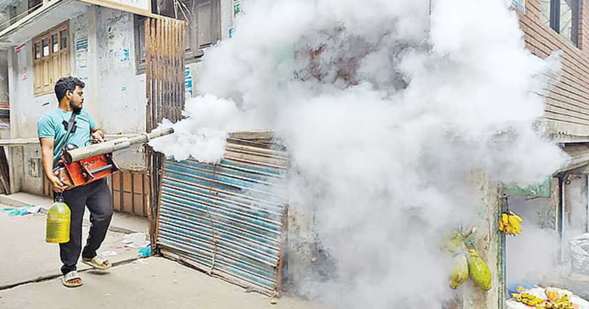 লভ্যাংশ