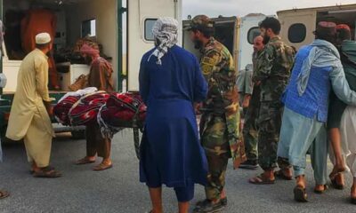 স্যালভো কেমিক্যাল