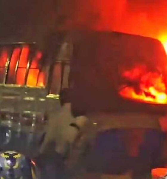 লভ্যাংশ