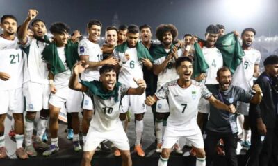 একমি পেস্টিসাইডস