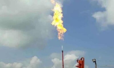 শেয়ারহোল্ডার