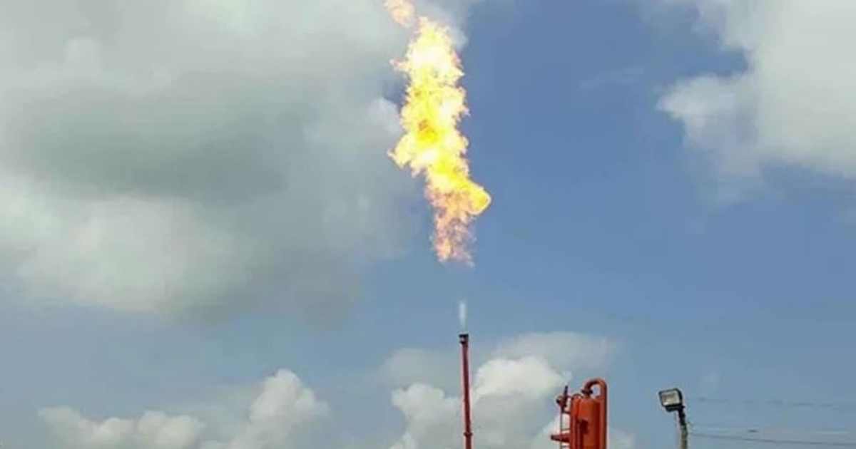 শেয়ারহোল্ডার