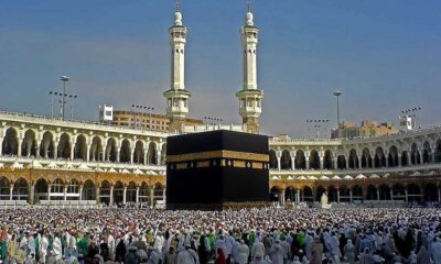 স্যালভো কেমিক্যাল