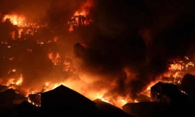 লভ্যাংশ