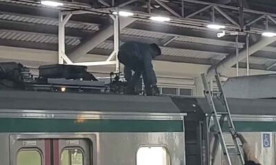 গোল্ডেন সন