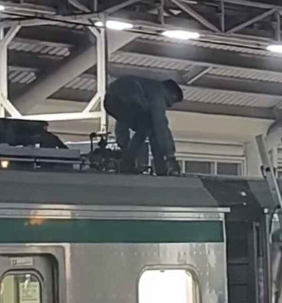 গোল্ডেন সন