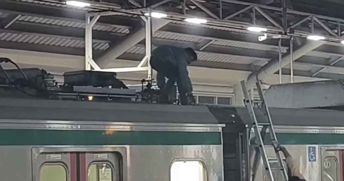 গোল্ডেন সন