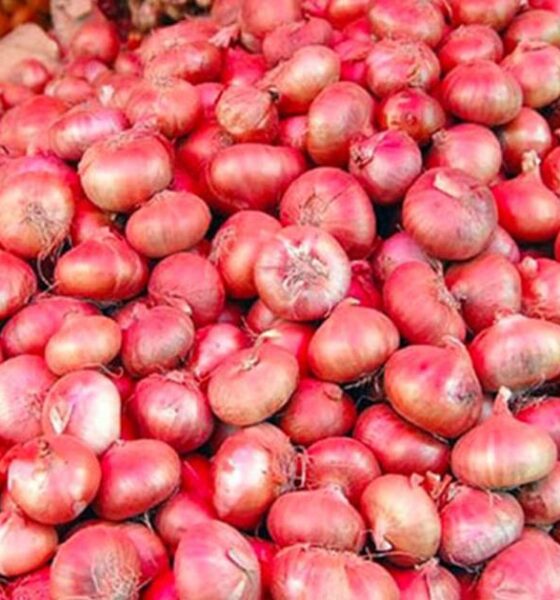 সাপ্তাহিক