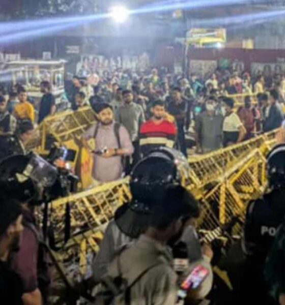 লভ্যাংশ