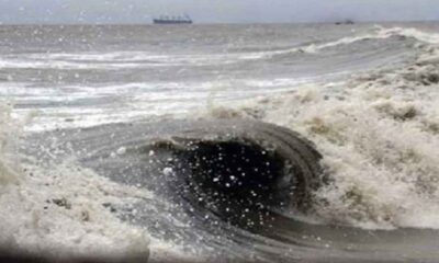 সাপ্তাহিক