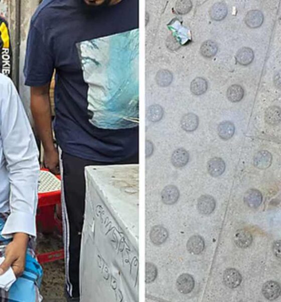 শেফার্ড