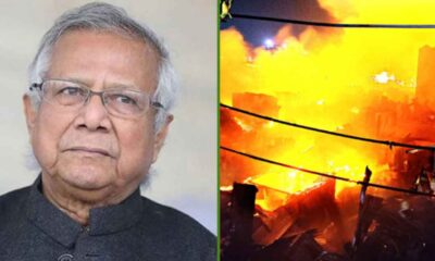 লভ্যাংশ