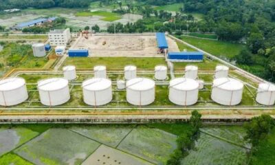 জেনেক্স