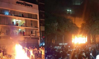 ন্যাশনাল ফিড