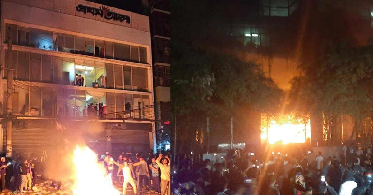 ন্যাশনাল ফিড